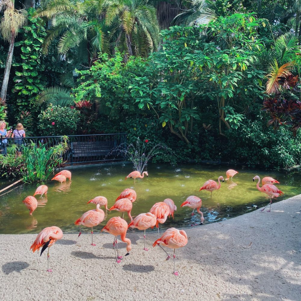 Are Dogs Allowed At Sunken Gardens Are Dogs Allowed At Sunken Gardens