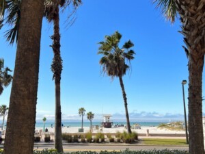 The Villages To Clearwater Beach