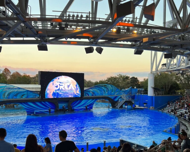 The 25 Best Things To Do At SeaWorld Orlando In 2024 The Florida the-25-best-things-to-do-at-seaworld-orlando-in-2024-the-florida